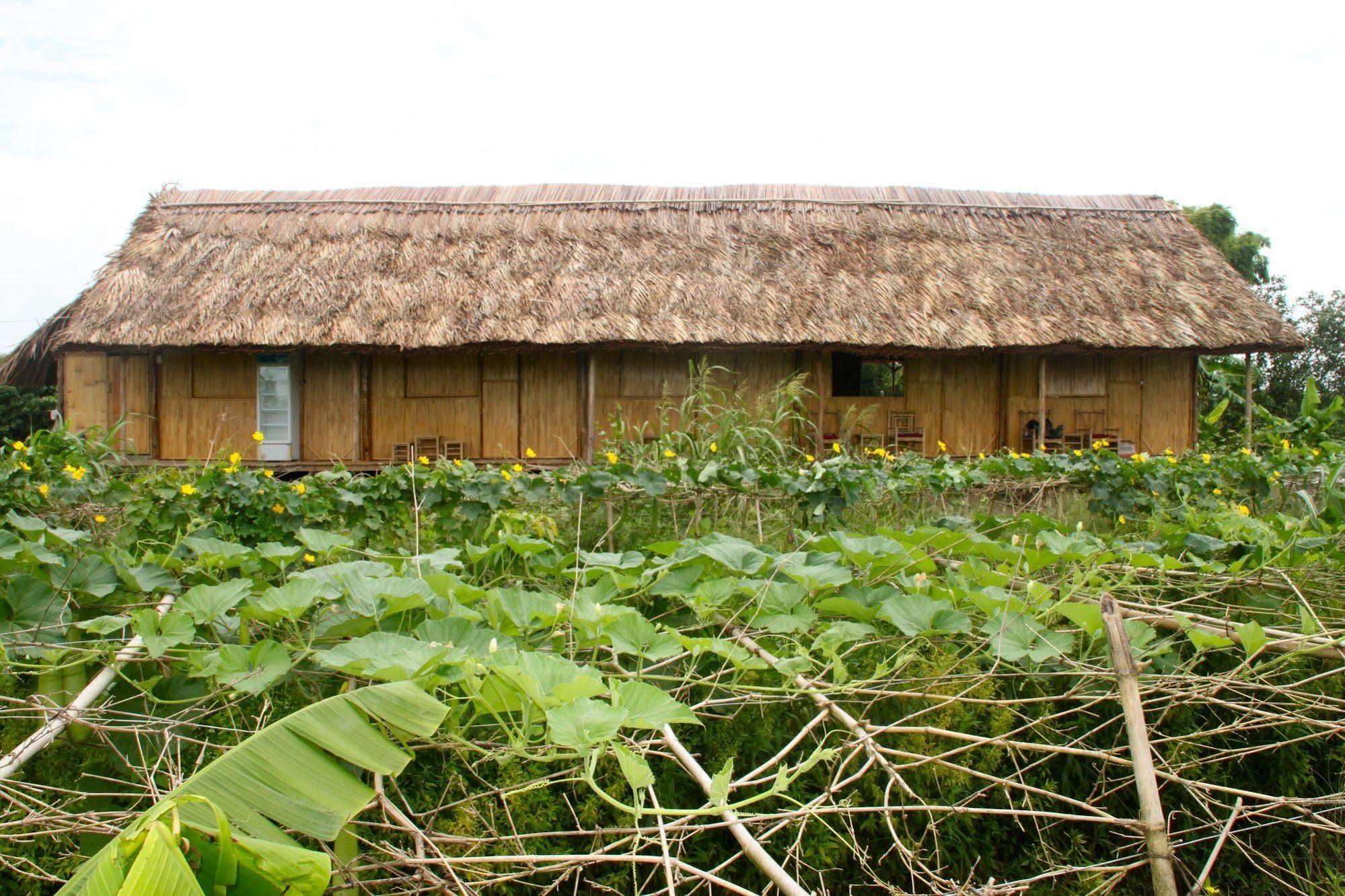 Nguyen Shack - Mekong Can Tho Villa Exterior photo